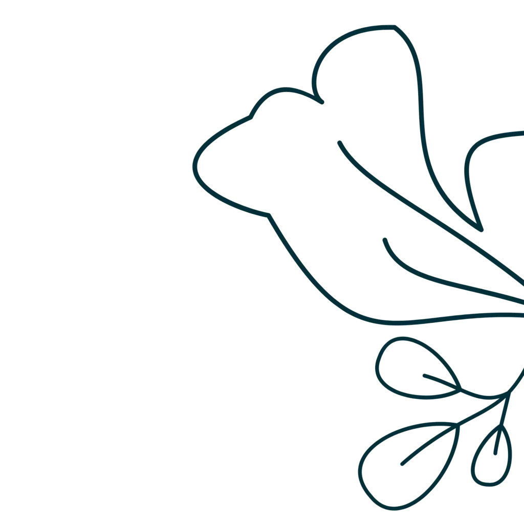 Elegant organic hand-drawn floral line art floral illustration for feminine branding