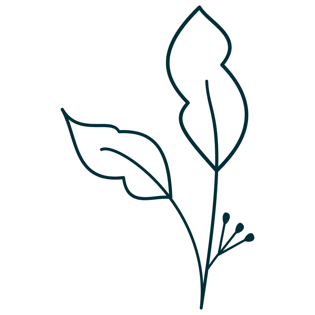 Modern branding minimalist leaf design